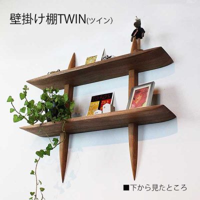 画像4: 壁掛け棚"TWIN"ツインプラス 壁面をおしゃれに飾る 2段ウォールシェルフ シンプルでスタイリッシュな壁掛け飾り棚