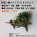 画像12:  インテリア 壁棚　おしゃれ　幅55ｃｍ 1枚板仕様【タナプラス180クルミ】 (12)