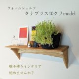  ウォールシェルフ【タナプラス40クリモデル】木製の壁掛け飾り棚　
