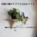 画像5: インテリア 壁棚　おしゃれ　幅70ｃｍ 1枚板仕様【タナプラス150ホワイトモデル】 (5)