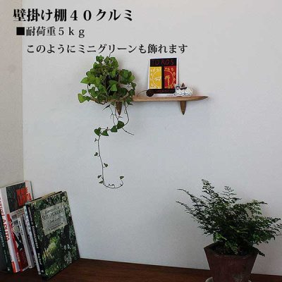 画像6: インテリア 壁棚　おしゃれでコンパクト　ピン固定【ゼロ40クルミ】