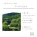 画像9: インテリア 壁棚　おしゃれでコンパクト　ピン固定【ゼロ40ウォールナット】 (9)
