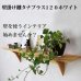 画像6: インテリア 壁棚　おしゃれ　幅70ｃｍ 1枚板仕様【タナプラス120ホワイトモデル (6)