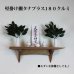 画像6:  インテリア 壁棚　おしゃれ　幅55ｃｍ 1枚板仕様【タナプラス180クルミ】 (6)