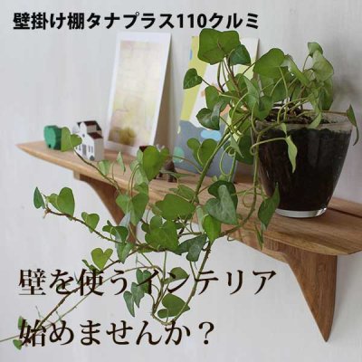 画像8: インテリア 壁棚　おしゃれ　幅56ｃｍ 1枚板仕様【タナプラス110クルミ】　