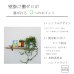 画像3: インテリア 壁棚　おしゃれでナチュラル　ピン固定 マンション最適【ゼロ56クルミ】 (3)