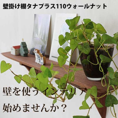 画像2: インテリア 壁棚　おしゃれ　幅56ｃｍ 1枚板仕様【タナプラス110ウォールナット】
