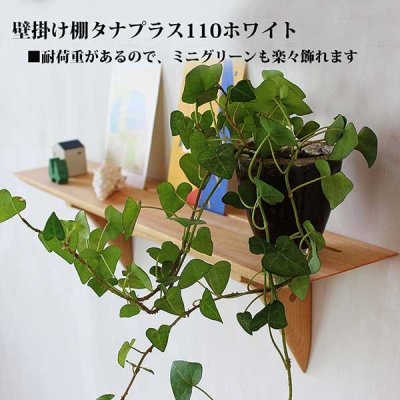 画像2: インテリア 壁棚　おしゃれ　幅56ｃｍ 1枚板仕様【タナプラス110ホワイト】