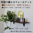 画像8: インテリア 壁棚　おしゃれでコンパクト　ピン固定【ゼロ40ウォールナット】