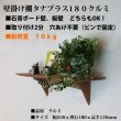 画像12:  インテリア 壁棚　おしゃれ　幅55ｃｍ 1枚板仕様【タナプラス180クルミ】