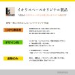 画像11: インテリア 壁棚　おしゃれでコンパクト　ピン固定【ゼロ40ホワイト】