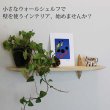 画像4: インテリア 壁棚　おしゃれでコンパクト　ピン固定【ゼロ40ホワイト】