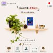 画像1: インテリア 壁棚　おしゃれでコンパクト　ピン固定【ゼロ40ホワイト】