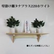 画像6: インテリア 壁棚　おしゃれ　幅70ｃｍ 1枚板仕様【タナプラス220ホワイト】