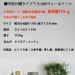 画像8: インテリア 壁棚　おしゃれ　幅55ｃｍ 1枚板仕様【タナプラス180ウォールナット】
