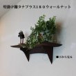 画像2: インテリア 壁棚　おしゃれ　幅55ｃｍ 1枚板仕様【タナプラス180ウォールナット】