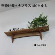 画像3: インテリア 壁棚　おしゃれ　幅70ｃｍ 1枚板仕様【タナプラス150クルミモデル】