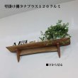 画像3: インテリア 壁棚　おしゃれ　幅70ｃｍ 1枚板仕様【タナプラス120クルミモデル】