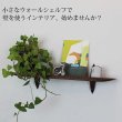 画像2: インテリア 壁棚　おしゃれでコンパクト　ピン固定【ゼロ40ウォールナット】