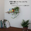 画像5: インテリア 壁棚　おしゃれでナチュラル　ピン固定 マンション最適【ゼロ56クルミ】