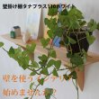 画像9: インテリア 壁棚　おしゃれ　幅56ｃｍ 1枚板仕様【タナプラス110ホワイト】