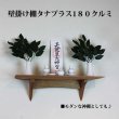画像6:  インテリア 壁棚　おしゃれ　幅55ｃｍ 1枚板仕様【タナプラス180クルミ】