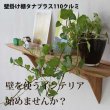 画像8: インテリア 壁棚　おしゃれ　幅56ｃｍ 1枚板仕様【タナプラス110クルミ】　