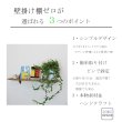 画像3: インテリア 壁棚　おしゃれでナチュラル　ピン固定 マンション最適【ゼロ56クルミ】