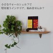 画像2: インテリア 壁棚　おしゃれでコンパクト　ピン固定【ゼロ40クルミ】