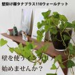画像2: インテリア 壁棚　おしゃれ　幅56ｃｍ 1枚板仕様【タナプラス110ウォールナット】