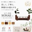 画像1: 【モダン神具】ＳＯＮＡＥ（そなえ）ウォールナット