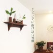 画像5: モダン神棚神具セット　タナプラス120+SONAEウォールナット　すぐにお祀り モダンでコンパクト　マンション 賃貸にも