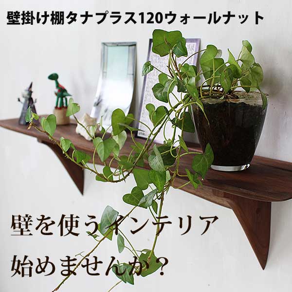 画像1: 飾り棚  壁掛け【タナプラス120ウォールナットモデル】木製のウォールシェルフ