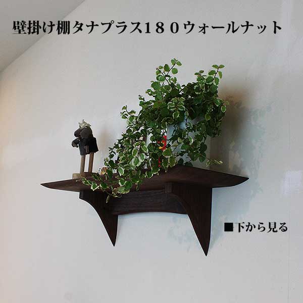 画像2: インテリア 壁棚　おしゃれ　幅55ｃｍ 1枚板仕様【タナプラス180ウォールナット】