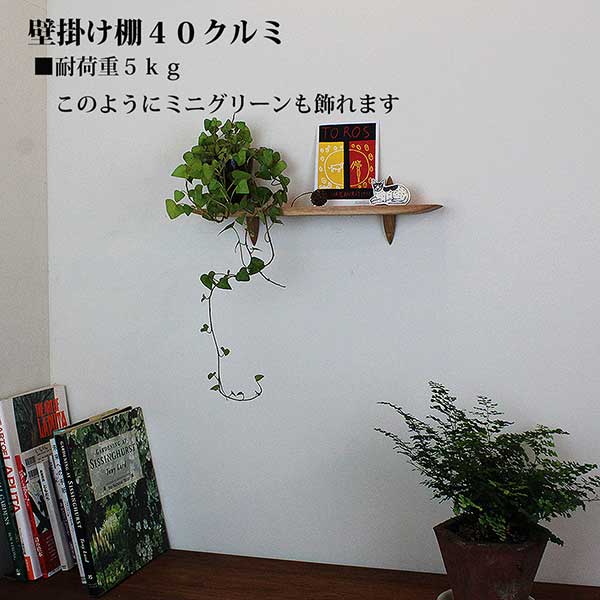 画像6: インテリア 壁棚　おしゃれでコンパクト　ピン固定【ゼロ40クルミ】