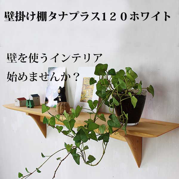画像6: インテリア 壁棚　おしゃれ　幅70ｃｍ 1枚板仕様【タナプラス120ホワイトモデル