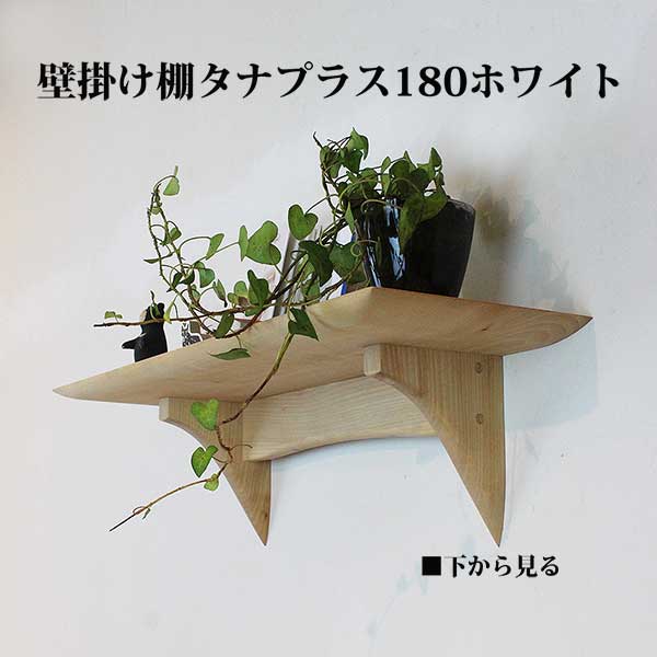 画像4: インテリア 壁棚　おしゃれ　幅55ｃｍ 1枚板仕様【タナプラス180ホワイト】