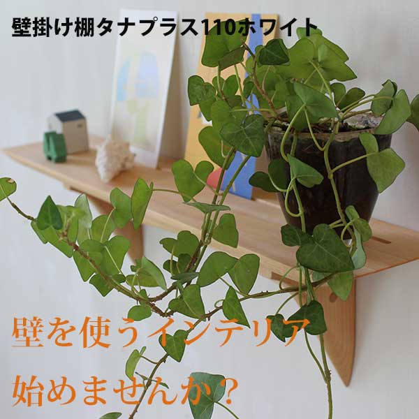 画像9: インテリア 壁棚　おしゃれ　幅56ｃｍ 1枚板仕様【タナプラス110ホワイト】