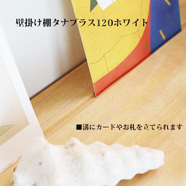 画像3: インテリア 壁棚　おしゃれ　幅70ｃｍ 1枚板仕様【タナプラス120ホワイトモデル