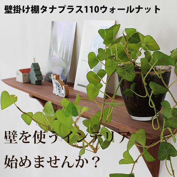画像2: インテリア 壁棚　おしゃれ　幅56ｃｍ 1枚板仕様【タナプラス110ウォールナット】
