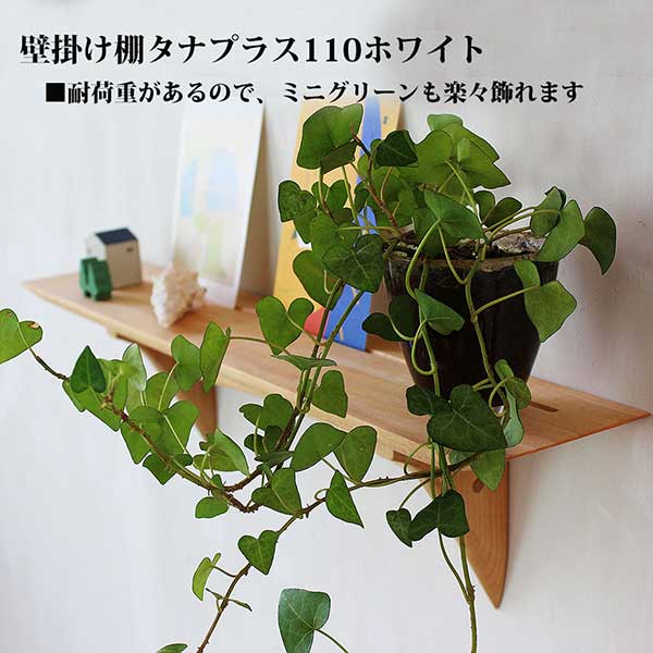 画像2: インテリア 壁棚　おしゃれ　幅56ｃｍ 1枚板仕様【タナプラス110ホワイト】